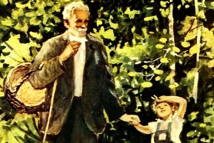 Лесная тропинка