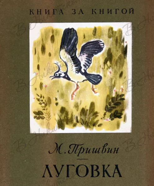 Луговка