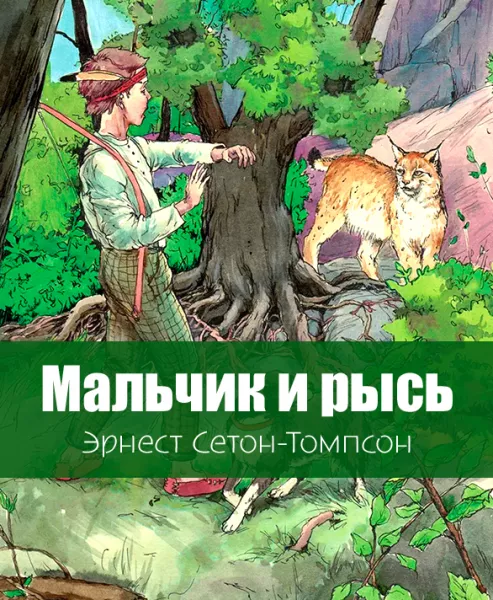 Мальчик и рысь