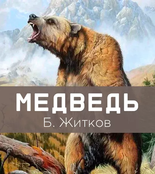 Медведь