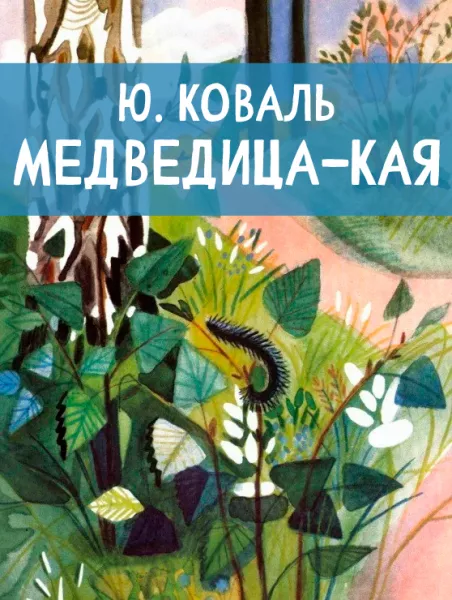 Медведица-кая