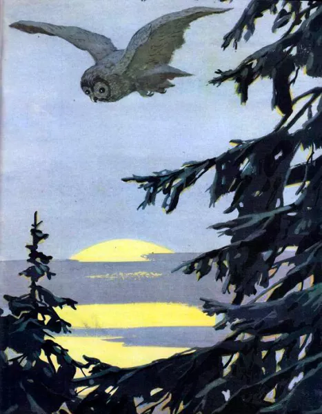 Невидимки