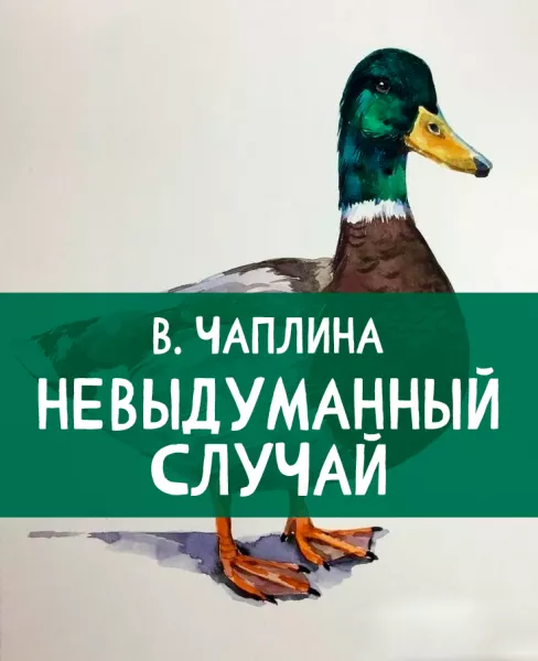 Невыдуманный случай