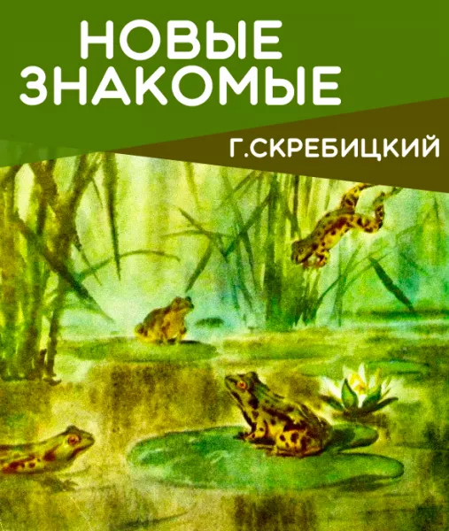 Новые знакомые