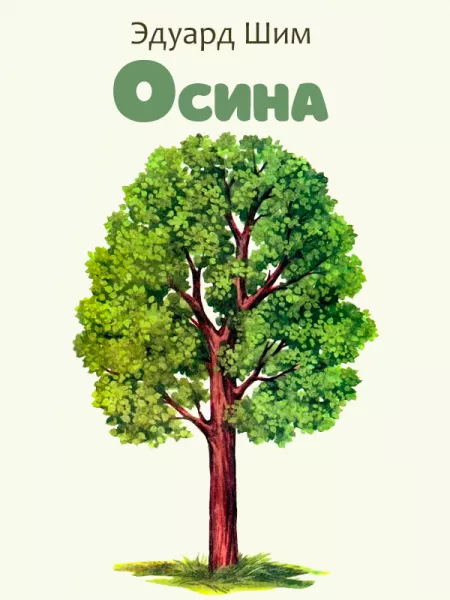 Осина