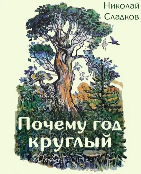 Почему год круглый