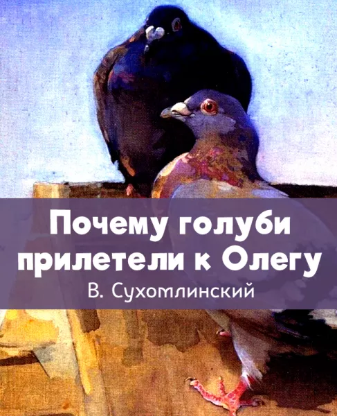 Почему голуби прилетели к Олегу