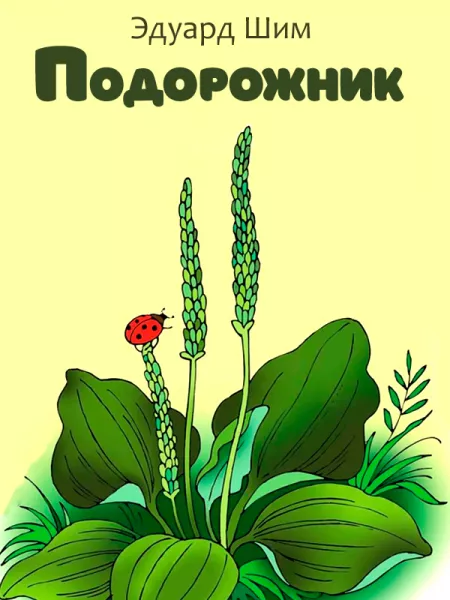 Подорожник
