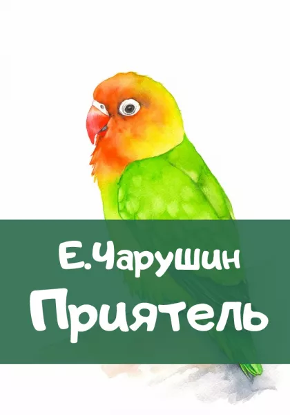 Приятель