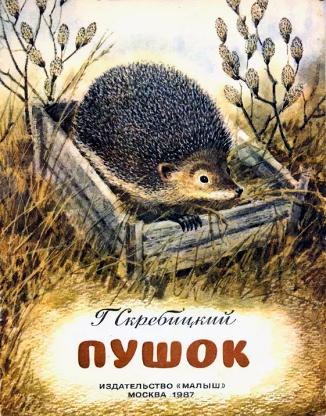 Пушок