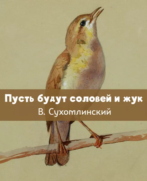 Пусть будут соловей и жук