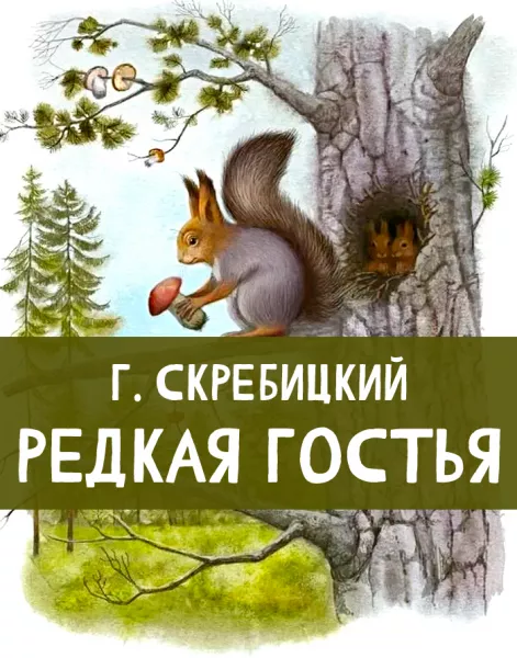 Редкая гостья