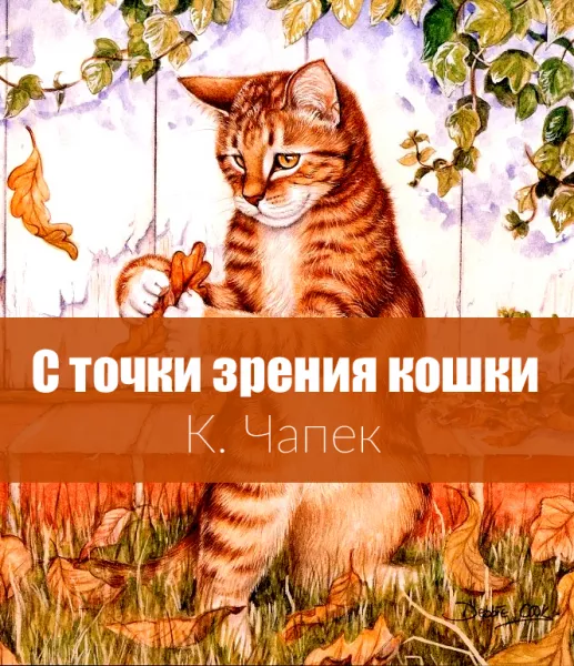 С точки зрения кошки