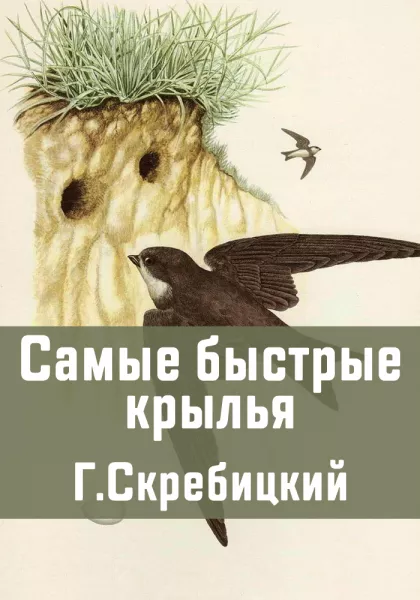 Самые быстрые крылья