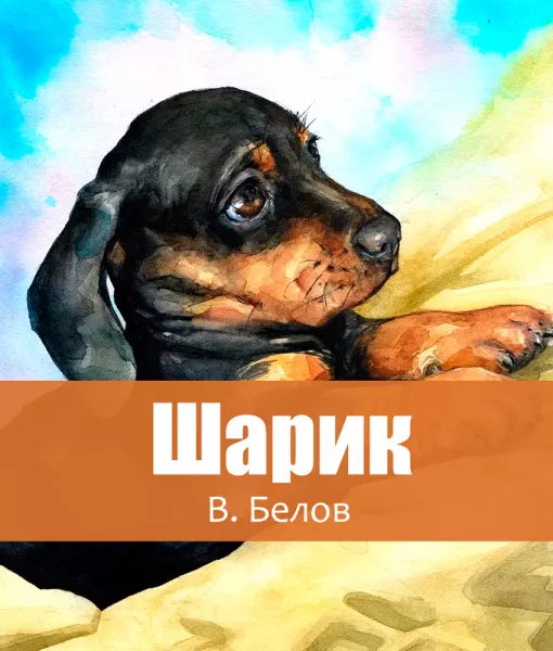 Шарик