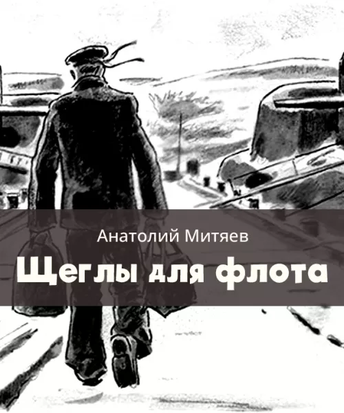 Щеглы для флота