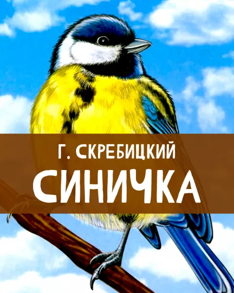Синичка