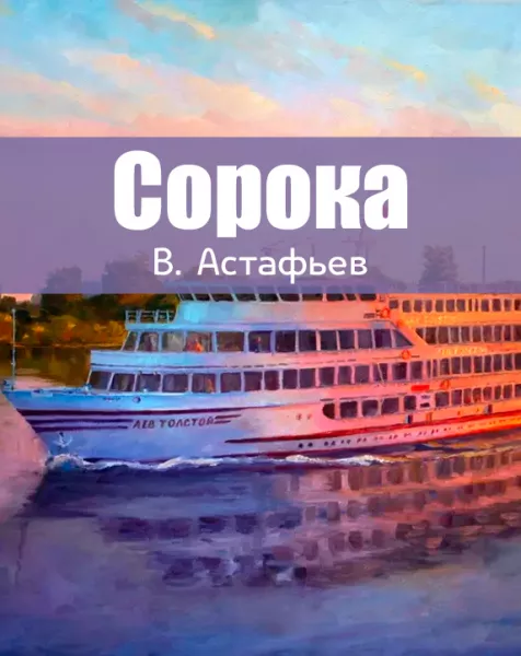 Сорока