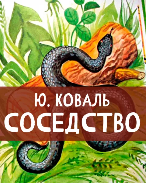 Соседство