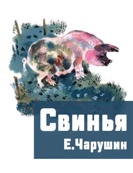 Свинья