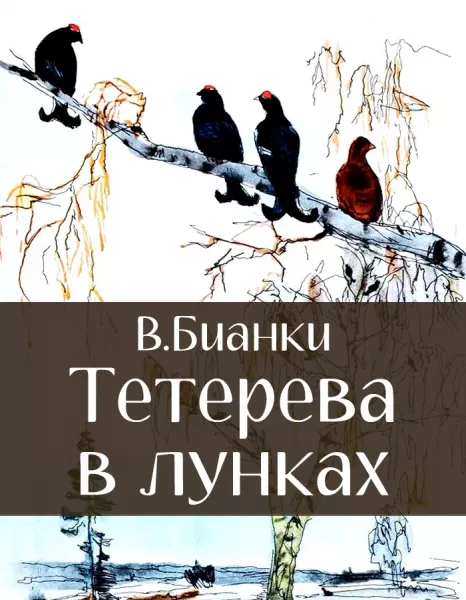 Тетерева в лунках