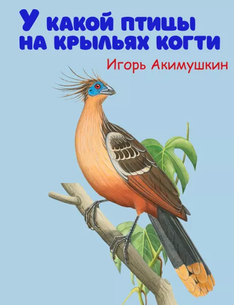 У какой птицы на крыльях когти