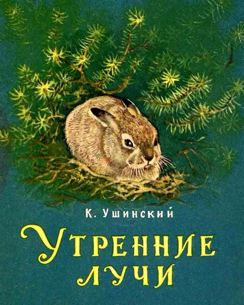 Утренние лучи