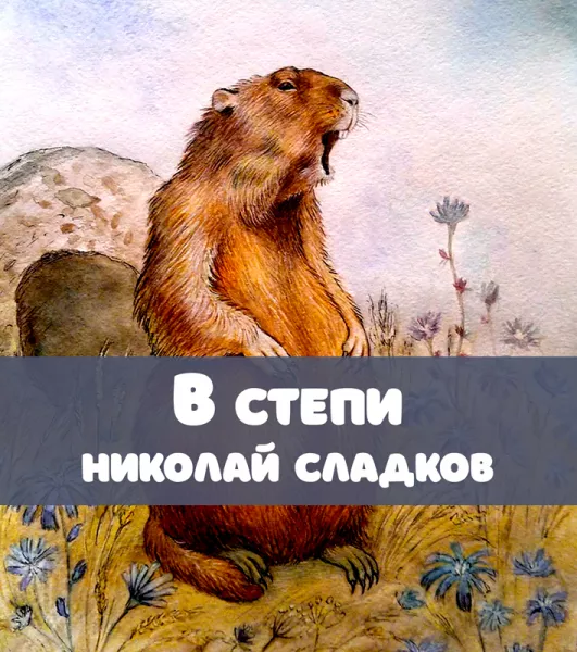 В степи
