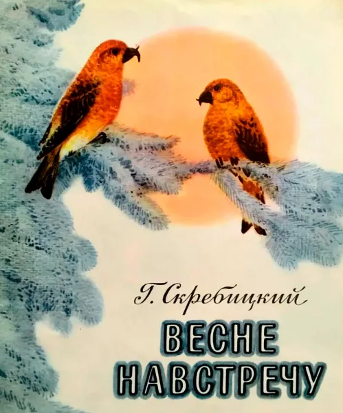 Весне навстречу