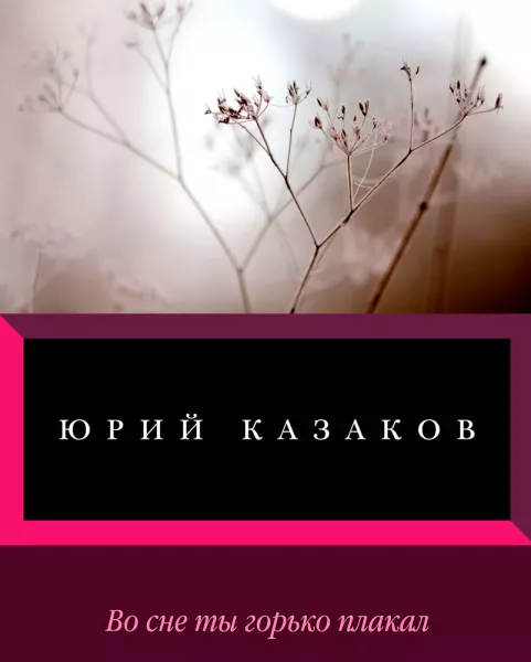 Во сне ты горько плакал