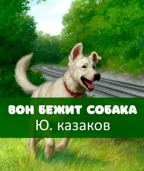 Вон бежит собака