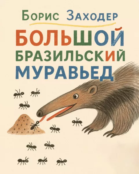 Большой бразильский муравьед