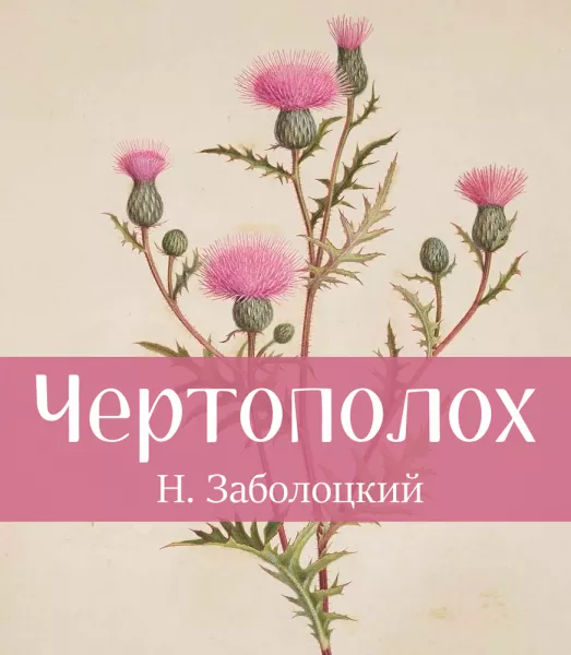 Чертополох