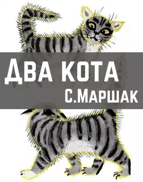 Два кота