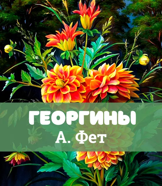 Георгины