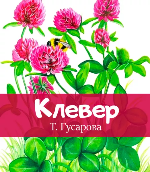 Клевер