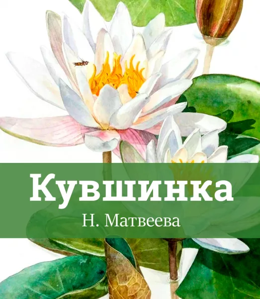 Кувшинка