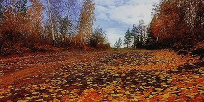 Медлительной чредой нисходит день осенний