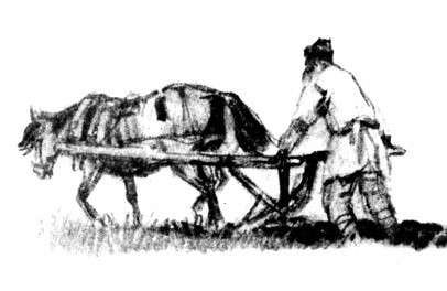 Несжатая полоса
