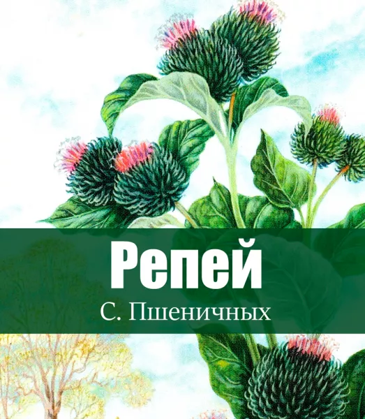 Репей