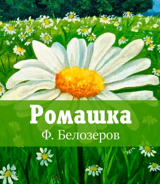 Ромашка