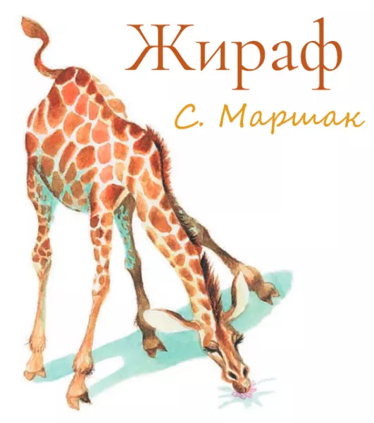 Жираф