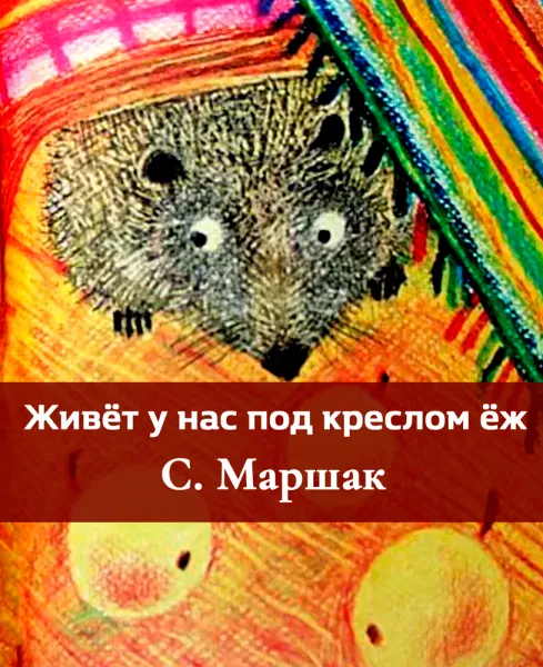 Живет у нас под креслом еж