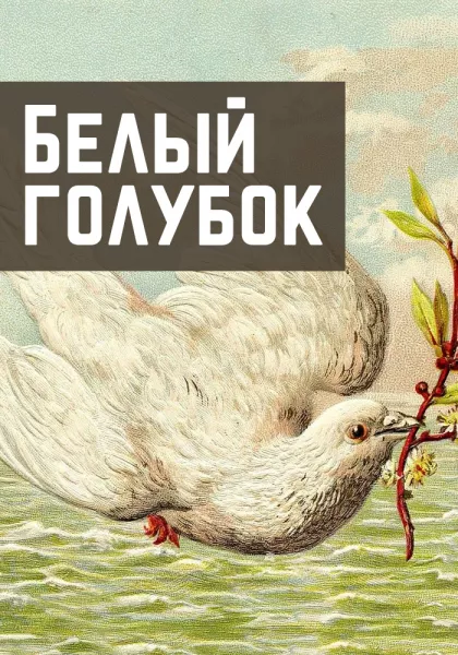 Белый голубок