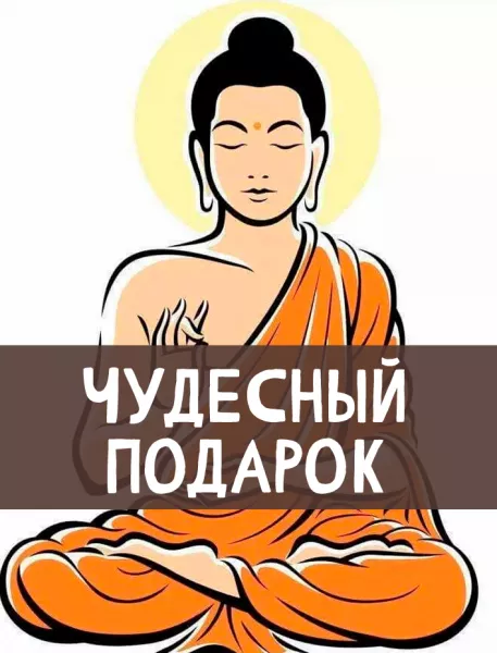 Чудесный подарок