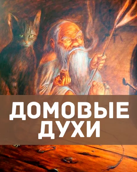 Домовые духи