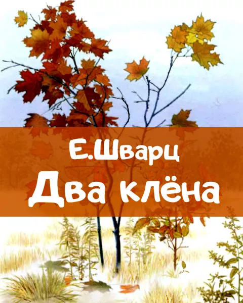 Два клена