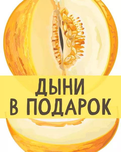 Дыни в подарок