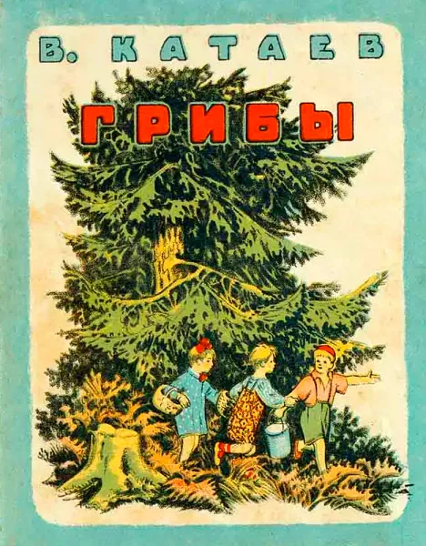 Грибы