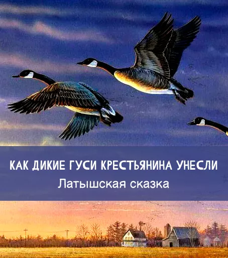 Как дикие гуси крестьянина унесли